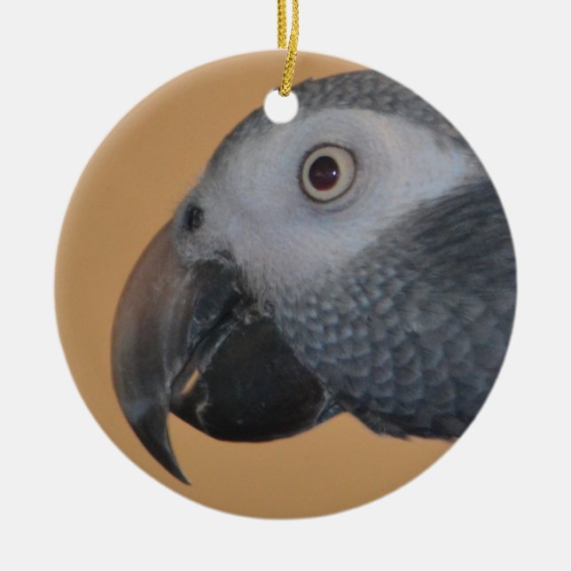 Parrot Ornament (Front)