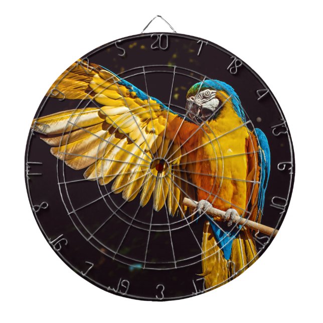 Parrot Out Stretched Wing Dartboard (Front)