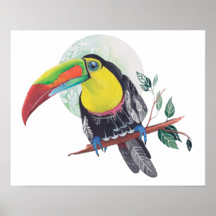 Parrot paint art print. Exotic bird and moon. Poster
