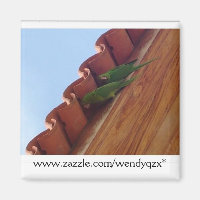 Parrot Pair