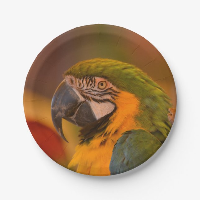 Parrot Paper Plate (Front)