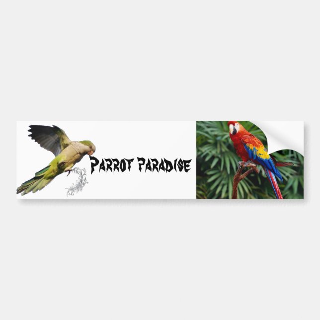 Parrot paradise bumper sticker (Front)