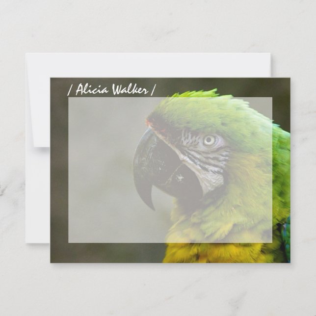 Parrot Photo Personalised Flat Note Cards (Front)