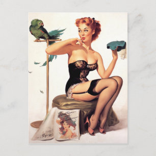 Parrot Pin Up Postcard