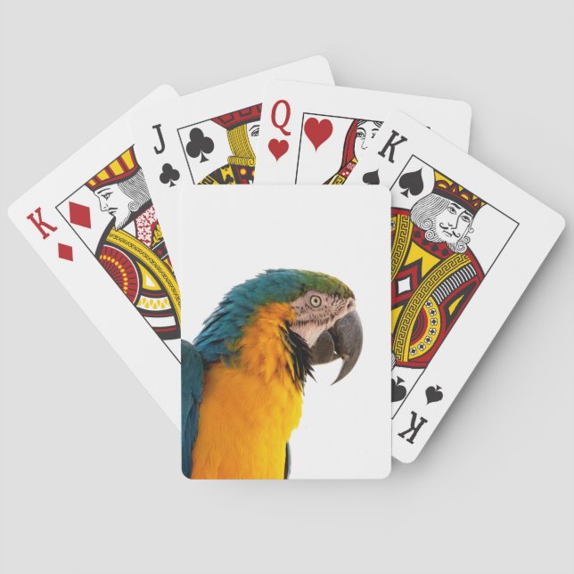 Parrot  playing cards (Back)