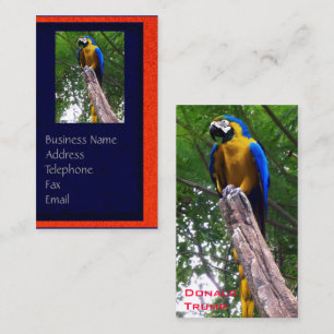 Parrot Pose ~ Business Card