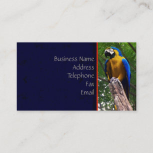 Parrot Pose ~ Business Card