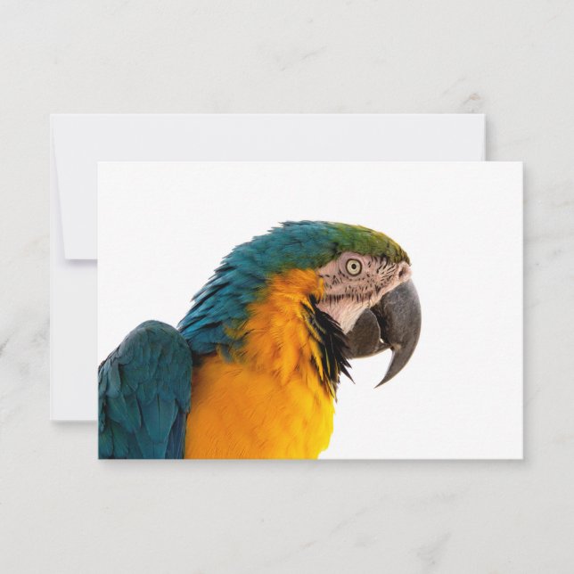 Parrot Post-it Notes (Front)