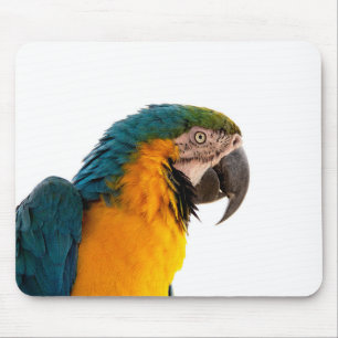Parrot Post-it Notes Mouse Mat