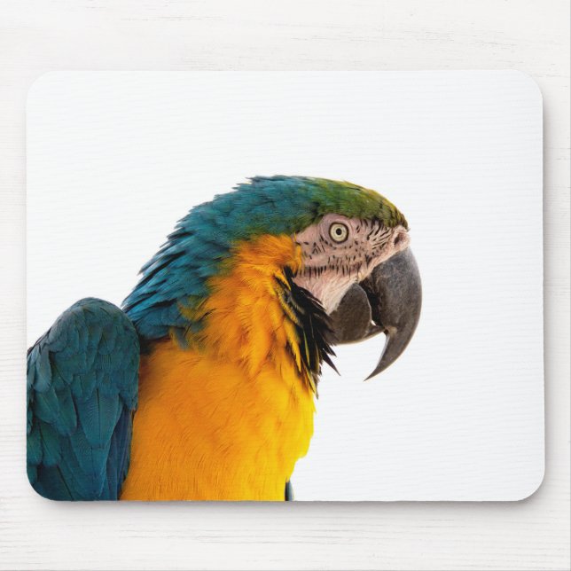 Parrot Post-it Notes Mouse Mat (Front)
