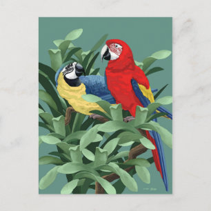 Parrot Postcards
