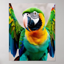 Parrot 