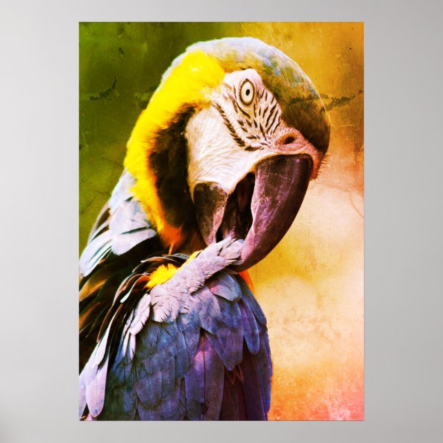 Parrot Poster (Front)