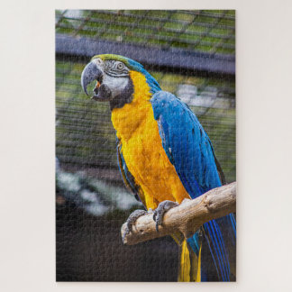 Parrot Puzzle