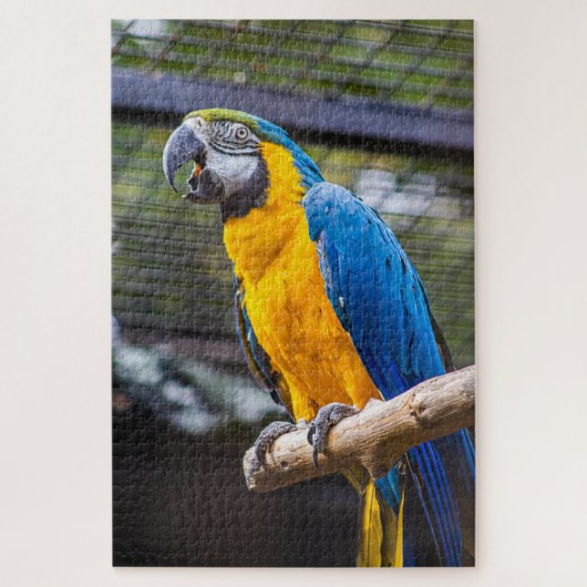 Parrot Puzzle (Vertical)
