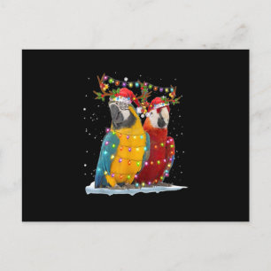Parrot Reindeer Xmas Light Christmas Ornaments Postcard