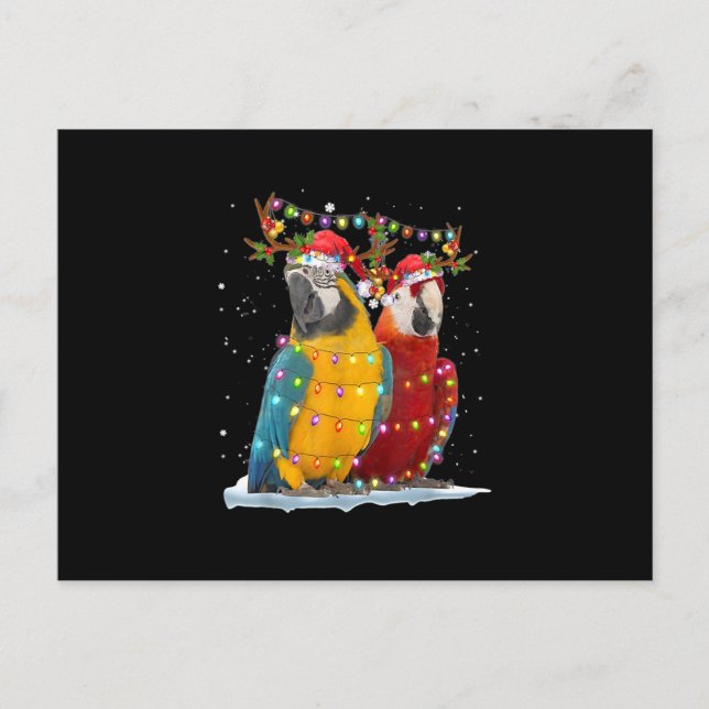 Parrot Reindeer Xmas Light Christmas Ornaments Postcard (Front)