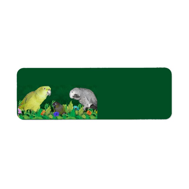 Parrot return address labels (Front)