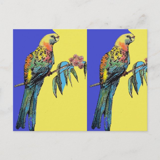 Parrot Rosella Watercolour Painting bird Postcard (Front)
