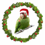 Parrot Santa Photo Sculpture Decoration<br><div class="desc">This Christmas ornament features a cherry headed conure parrot in a Santa hat sitting inside a Christmas wreath</div>