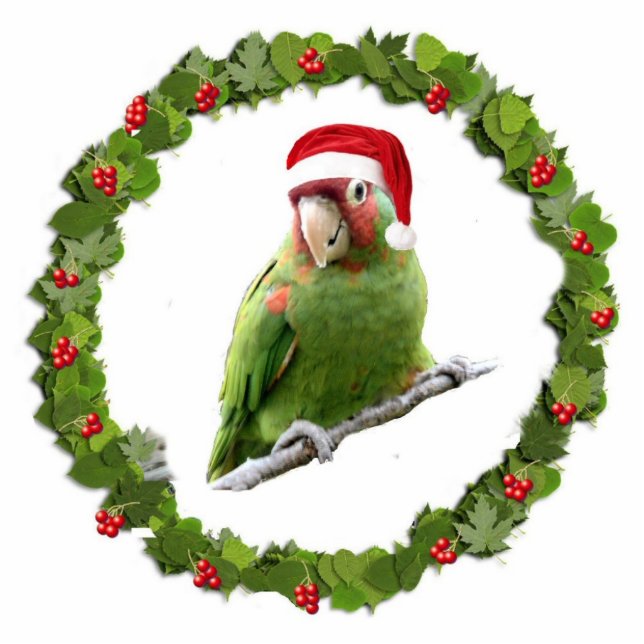 Parrot Santa Photo Sculpture Decoration (Front)
