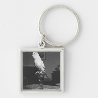Parrot sitting on candlestick B&W Key Ring