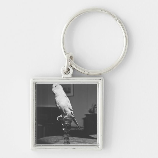 Parrot sitting on candlestick B&W Key Ring (Front)