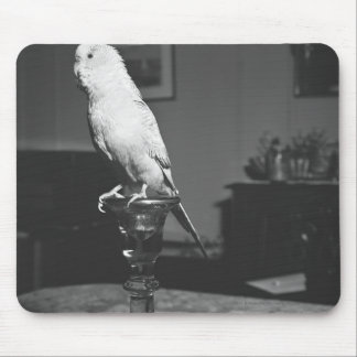 Parrot sitting on candlestick B&W Mouse Mat