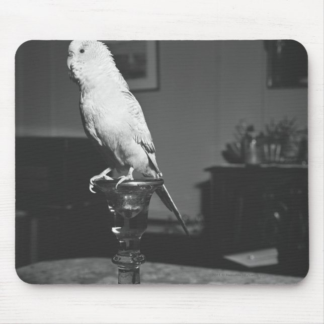 Parrot sitting on candlestick B&W Mouse Mat (Front)