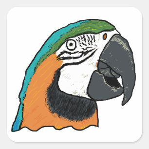 Parrot Square Sticker