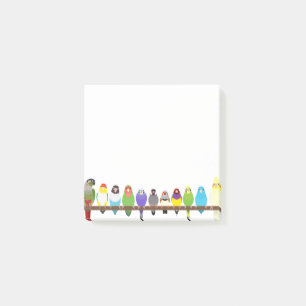 Parrot Sticky Notes