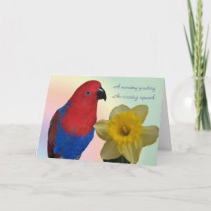 Parrot Sympathy Card