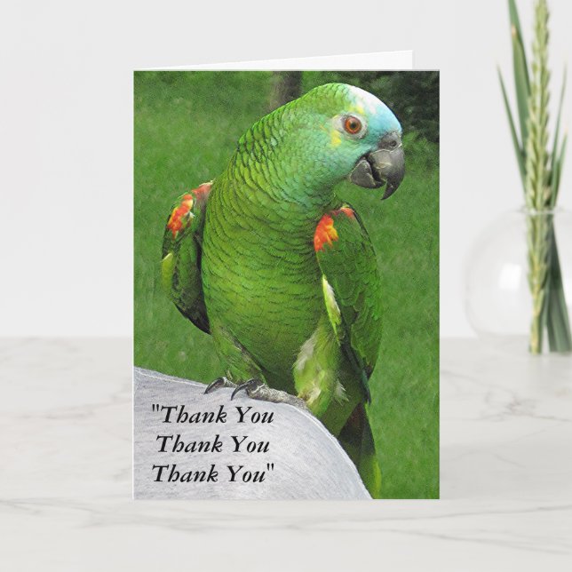 Parrot Thank You (Front)