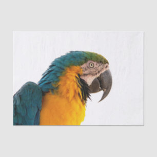 Parrot tissue paper