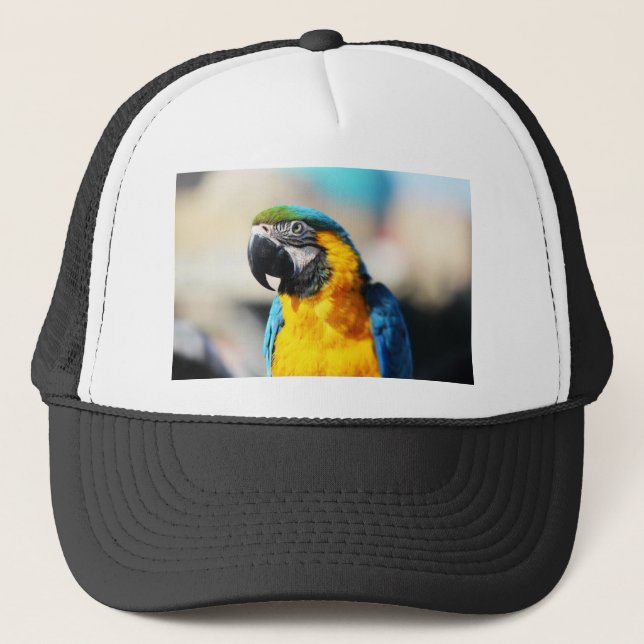 parrot trucker hat (Front)