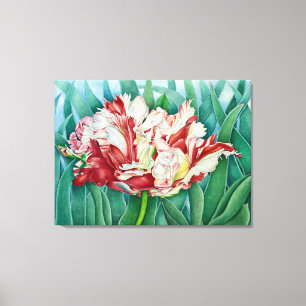 Parrot Tulip Canvas Print