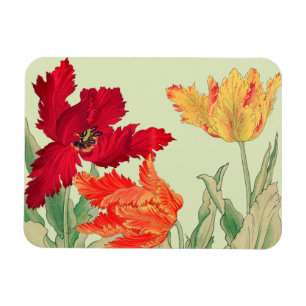 Parrot tulip, Floral Magnet