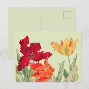 Parrot tulip, Floral Postcard