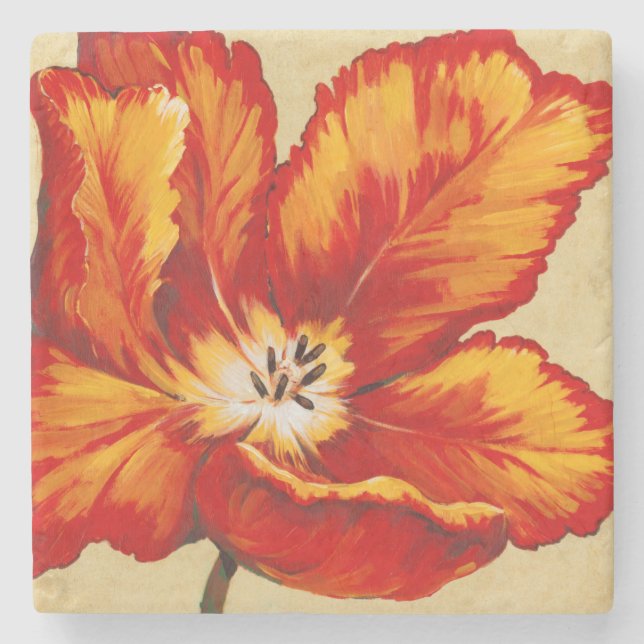 Parrot Tulip I Stone Coaster (Front)
