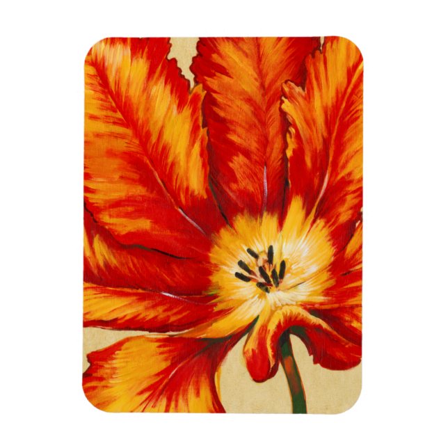 Parrot Tulip II Magnet (Vertical)