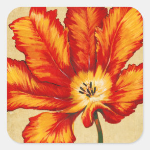 Parrot Tulip II Square Sticker
