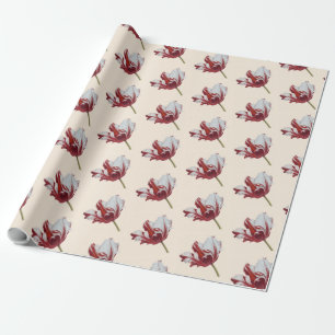 Parrot Tulip  Wrapping Paper