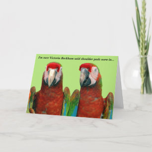 Parrot Valentine Card 004