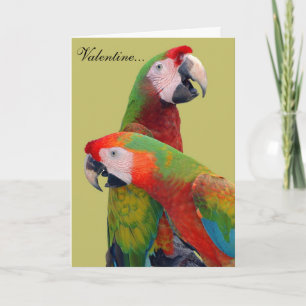 Parrot Valentine Card 007
