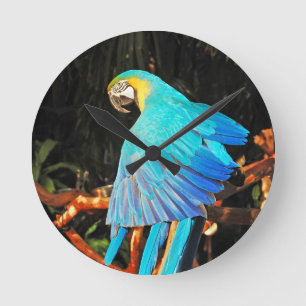 Parrot wall clock