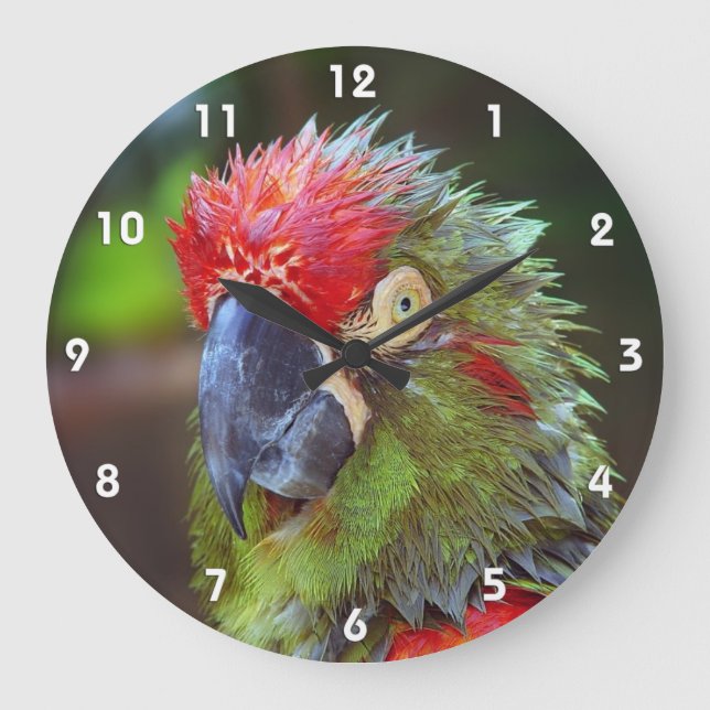 Parrot Wall Clocks (Front)