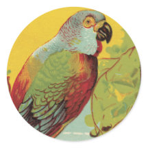Parrot With Stained Glass