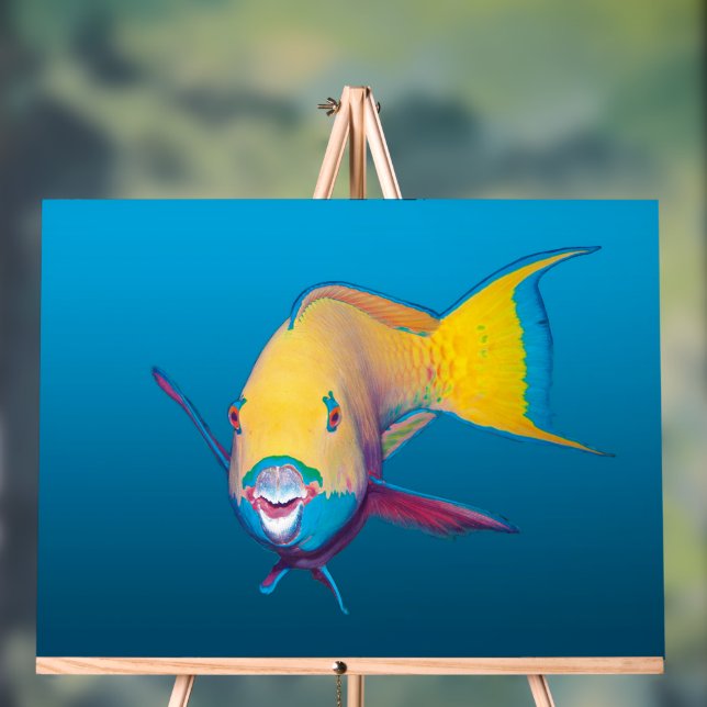 Parrotfish Close-up! Gradient blue background |  Acrylic Sign (Neutral)