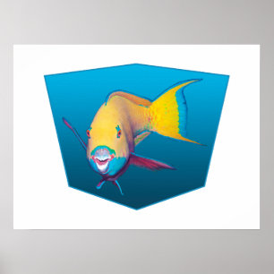 Parrotfish - Design gradient blue background    Poster