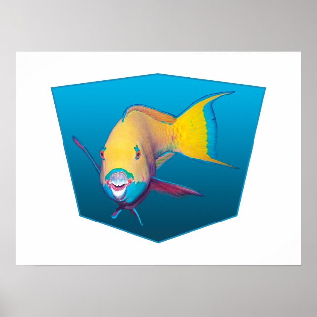Parrotfish - Design gradient blue background |  Poster (Front)